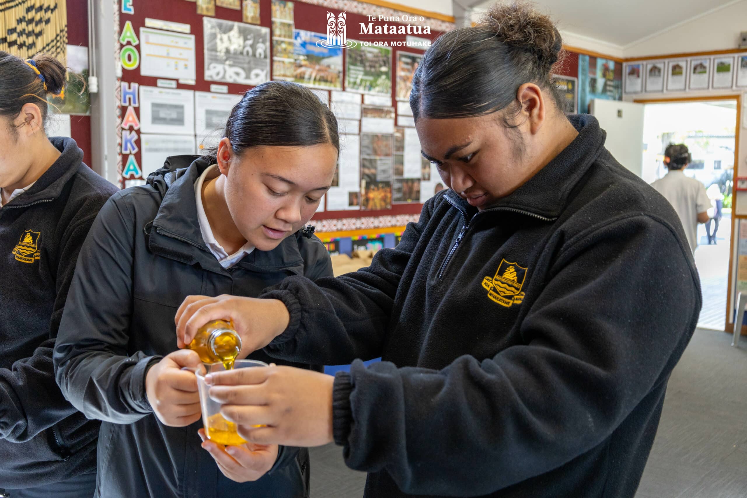 Tauira exploring rongoā